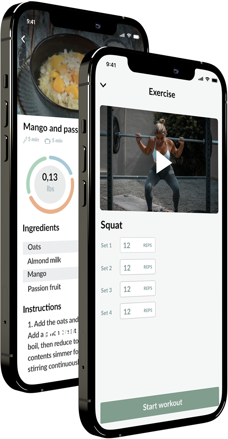 A mobile representation of the meal plan and workout feature.